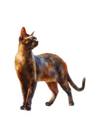 Cat Collections Wooden Puzzle (Option: Style34-A3)