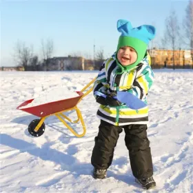 Kids Stainless Steel Wheelbarrow With All-Terrain Wheels, 66 LBS Weight Capacity Outdoor Play Toy For Ages 3+ (Option: defaulttitle)