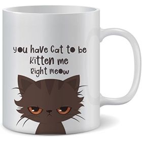 Funny Cat Mug - You Have Cat To Be Kitten Me Right Meow | Premium Coffee Mugs With Funny Cat Sayings | 11 Ounce Ceramic Mugs. A Great Birthd (Option: Default)