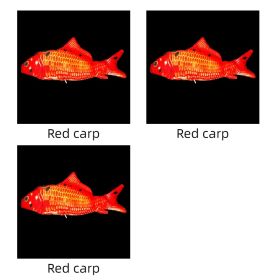 Without Cat Nip Version - Electric Jumping Fish Simulation Electric Fish Toy (Option: Red carp 3pcs)